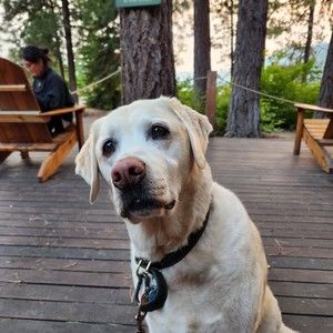 Meet your Posher, Nancy